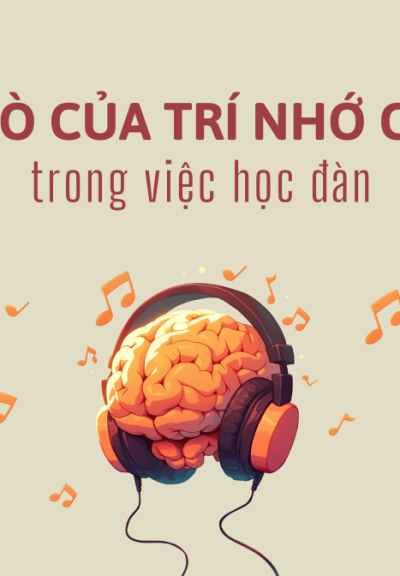 VAI TRÒ CỦA TRÍ NHỚ CƠ BẮP TRONG VIỆC HỌC ĐÀN