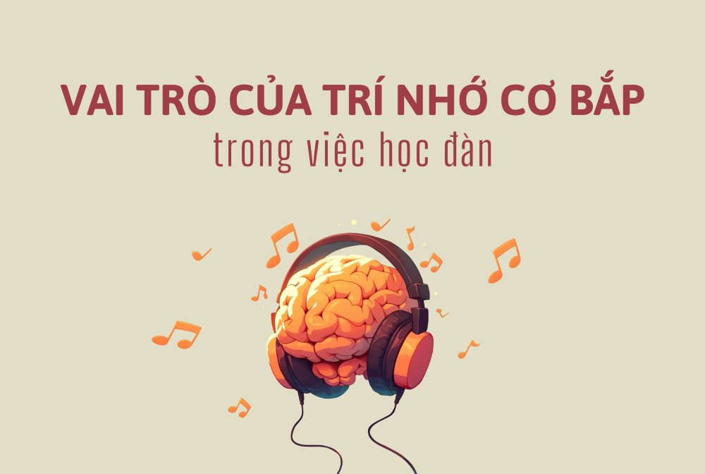 Trí nhớ cơ bắp