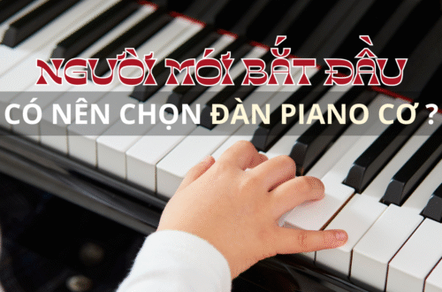NGƯỜI MỚI BẮT ĐẦU CÓ NÊN CHỌN ĐÀN PIANO CƠ?