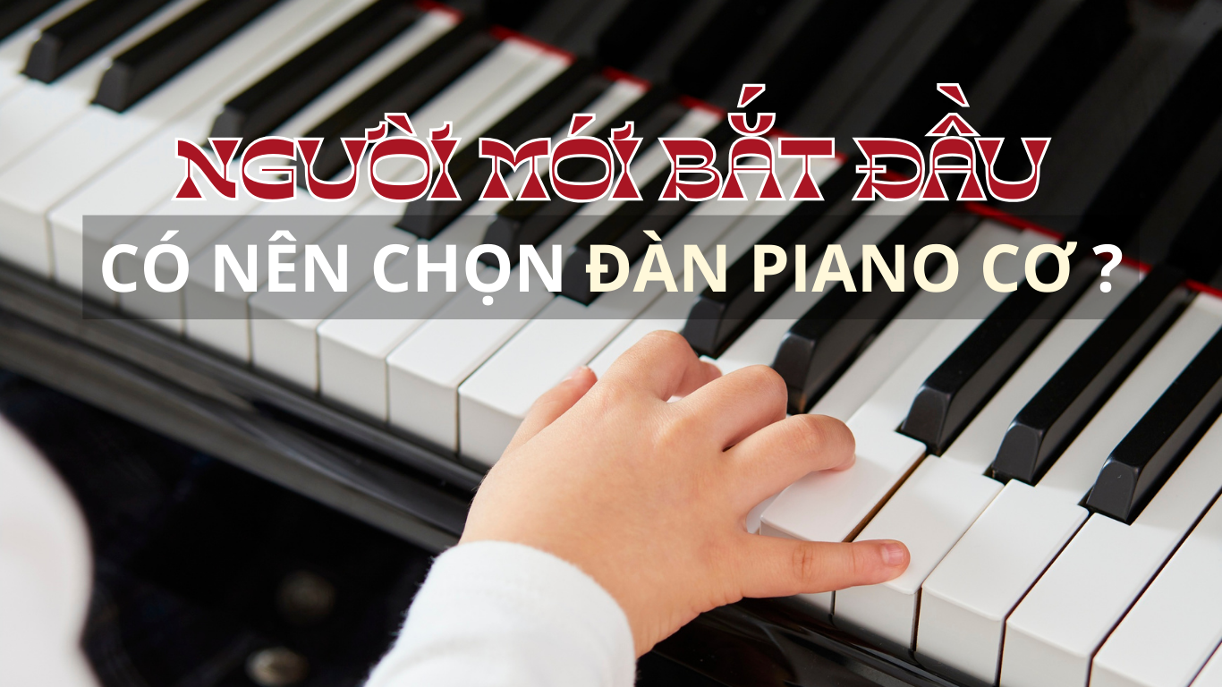 Website chọn đàn piano cơ